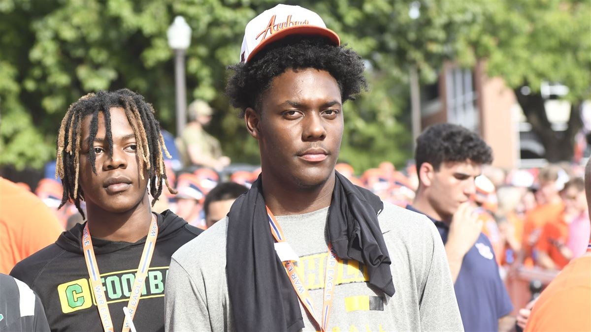 和珍贵的篮 和珍贵的篮