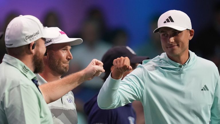 教练智慧的 教练智慧的